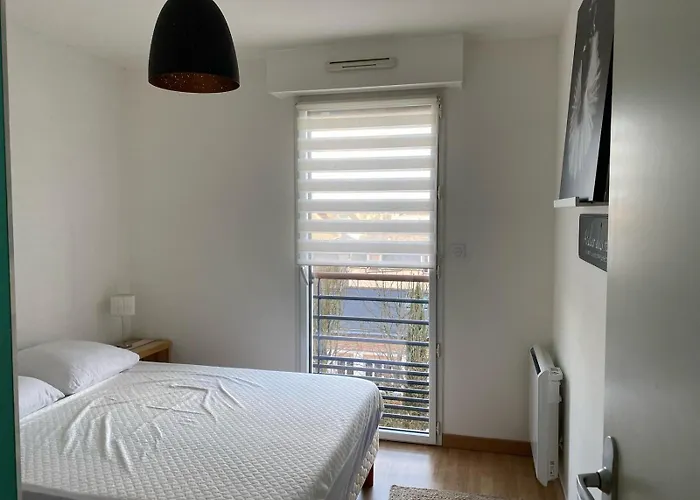 Appartement Cosy Jardin Des Plantes Avec Parking